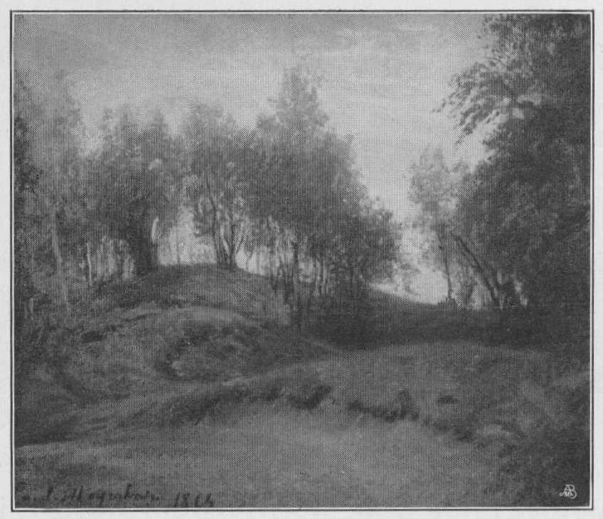 Paesaggio